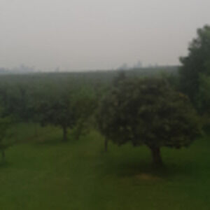 Meet your Posher, Kelowna